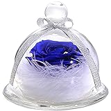 TEATSIGHT プリザーブドフラワー フラワーアレンジ ラッピング済み バラ スワロフスキー 羽根 (ブルー)