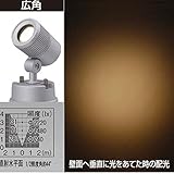 タカショー　De-SPOT 広角タイプ（LED色：電球色） 12V用 HBB-010D　【ローボルトライト】　【エクステリア照明 ライト】