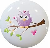 Carolinaハードウェアと装飾用リムの2221気まぐれなフクロウセラミックキャビネット引き出しノブ