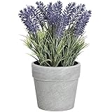 (ヒル・インテリアズ) Hill Interiors ストーンプランターつき 造花ラベンダー インテリア アーティフィシャルフラワー (M) (ラベンダー)