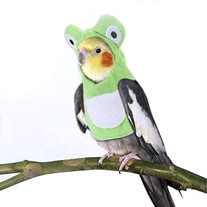 Amazon Co Jp 鳥のためのペットの服オウムインコオカメインコ かわいいカエルの形のパーカー面白い鳥のコスチュームショーやコスプレ 写真の小道具 クリスマス パーティー 誕生日 ハロウィーンの掃除と着用が簡単 ペット用品