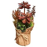 Outflower 盆栽 麻布 人造植物 シミュレーション ミニ盆栽 家庭装飾品 家居の置物 単品 おしゃれな盆栽 プレゼント 人造盆栽 手つくり