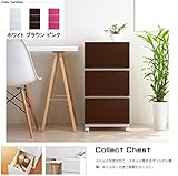 Collect Chest コレクトチェスト LW3段 ブラウン・SQC-LW3BR