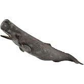 マッコウクジラ 88835