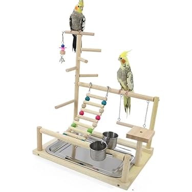 Amazon.co.jp 最新リリース: 鳥用品 の新着ランキングです。