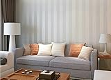 Hanmero European Modern Minimalist Country Luxury Stripe Wallpaper Roll for Living Room Bedroom Tv B