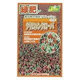 カネコ種苗  緑肥タネ 緑肥 クリムソンクローバ 10袋セット 554