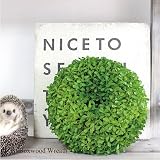 ボックスウッドリースφ22cm 観葉植物 造花 インテリア CT触媒 フェイクグリーン