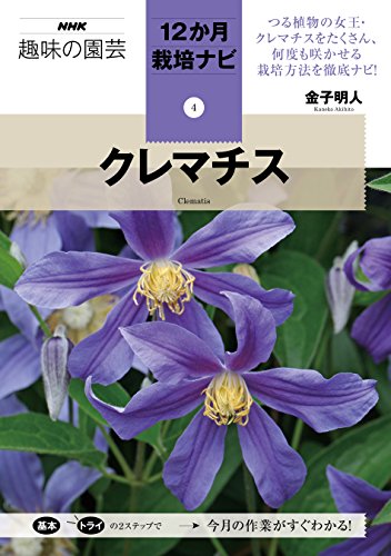 クレマチス (NHK趣味の園芸12か月栽培ナビ(4)) クレマチス (NHK趣味の園芸12か月栽培ナビ(4))