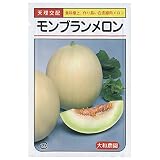 大和農園 モンブラン [メロン] 100粒