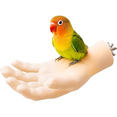 Amazon.co.jp 最新リリース: 鳥用品 の新着ランキングです。