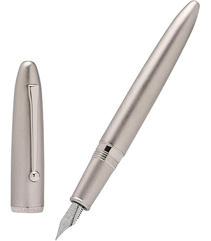 Amazon | Asvine Hongdian 620 シルバーメタル 万年筆 極細ペン先