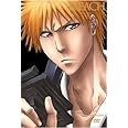 BLEACH 新隊長天貝繍助篇 1 【完全生産限定版】 [DVD]