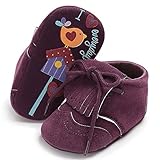 Tovadoo ベビーシューズ スリッポン 紐靴 女の子 プリンセス 多色 秋冬 旅行 通学 タッセル 鳥柄靴裏 可愛い 室内 歩行練習 ギフト 0-18ヶ月