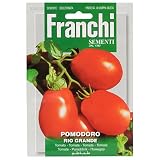 野菜の種 イタリアントマト RIO GRANDE 106/105
