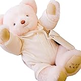 《体重・誕生日・お名前が入る》ベビーウェイトべア　体重・誕生日・名入れが入った赤ちゃんと同じ重さのくまのぬいぐるみ　母子手帳ケース付き　プティルウ製 (ピンク)