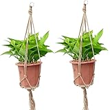 TOSSOWマクラメプラントハンガー 観葉植物ハンガー 　2種セットアンティーク麻縄 ハンギングプランター、花瓶、バスケットボール 室内室外花園の装飾品 (89センチ)