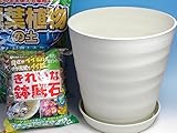 観葉植物植え替えセット　12号　鉢、土、皿、鉢底石セット