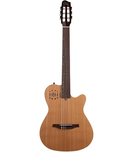【値下げ】Godin Multiac Nylon SA ゴダン エレガッドギター Godin ゴダン Multiac Nylon Deluxe ナイロン弦 エレガット