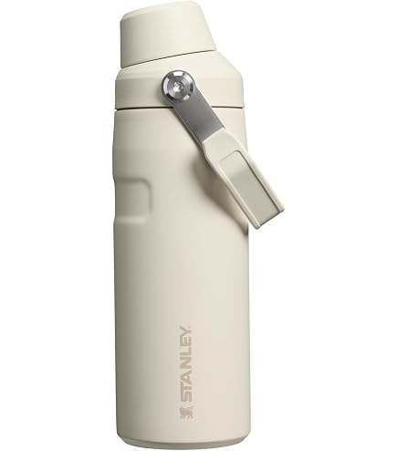Amazon.co.jp: Stanley (スタンレー) IceFlow ファストフロー