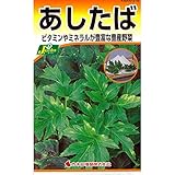 [野菜タネ]あしたば（明日葉）のタネ 5袋セット ノーブランド品