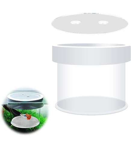 Amazon | 水槽用ブリーダーボックス サテライト 水 槽 隔離水槽 魚用