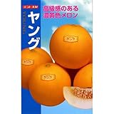 メロン 種 【 ヤング 】 種子 小袋（約7粒）