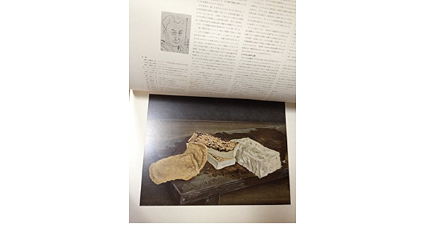 高橋由一 豆腐 大型セパレート形図版 日本の名画 洋画100選 三一書房 本 通販 Amazon