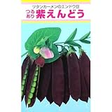 実取エンドウ 種 【 紫えんどう 】 種子 小袋（約20ml）