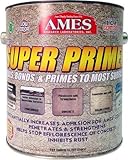 AMES RESEARCH LABORATORIES SP1 Super Primer Unique Clear [並行輸入品]