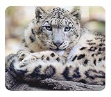 ユキヒョウのマウスパッド：フォトパッド（ 世界の野生動物シリーズ ） (A)