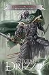 Dungeons & Dragons: The Legend of Drizzt, Vol. 1: Homeland