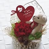 プリザーブドフラワー ギフト　枯れないお花　ベアとカーネーション（母の日ギフト）