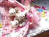 ぺディーベアピンクチェック3ブーケ