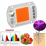 Yiteng 植物育成ライト　室内栽培ランプ　植物LEDライト　220V 30W　ミニ多肉観葉植物栽培ランプ　クリップライトフレキシブルアーム　低消費電力で長寿命で明るい照明水耕栽培 室内でも植物がす