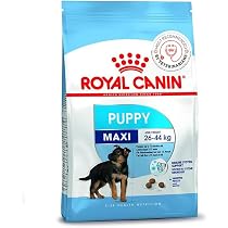 Amazon.co.jp: ロイヤルカナン SHN マキシ ジュニア 犬用 10kg