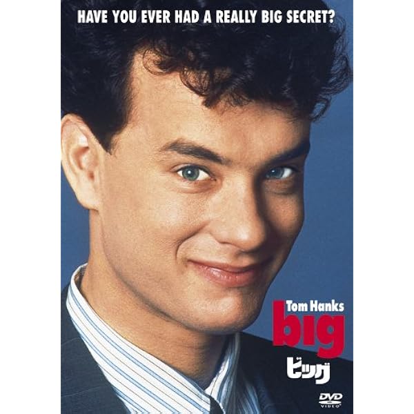 「シルクウッド/ワーキング・ガール」マイク・ニコルズ監督DVD2枚セット シルクウッド/ワーキング・ガール」マイク・ニコルズ監督DVD2枚