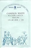 【種子】 キャンピオン ホワイト 三笠園芸　春まきの種アウトレットセール！（2018年2月期限切れ）