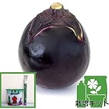 ナスのかんたん栽培セット：丸ナス：（早生大丸）味一番！どっしり味なすび3号ポット ノーブランド品