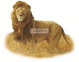 8インチライオンキングのジャングル動物African Safari Africa取り外し可能なピールセルフスティック粘着ビニール装飾壁デカールステッカーアート子供ルームホーム装飾ガールズボーイズ子供寝