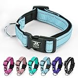 NESTROAD 犬首輪 調節可能 夜間反射 小型犬・中型犬・大型犬用 全犬種対応 おしゃれ メッシュ 通気性 安全 訓練用 メッシュ ソフト 痛くない 簡単装着 丈夫 (ブルー,XS)