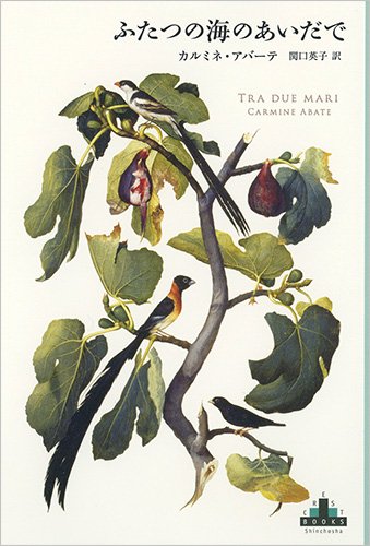 ふたつの海のあいだで