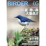 BIRDER(バーダー)2019年5月号 夏の青い鳥 大集合!!