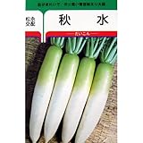 大根 種 秋水 小袋（８ｍｌ）