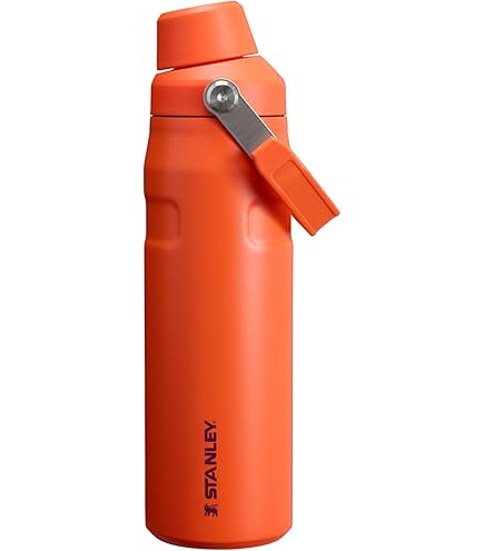 Amazon.co.jp: Stanley (スタンレー) オールデイ スリムボトル 34