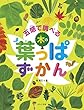 見る知る考えるずかん 五感で調べる木の葉っぱずかん