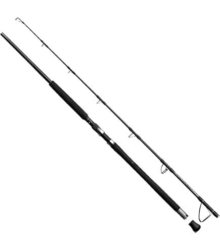 Amazon.co.jp: SHIMANO OCEA PLUGGER BG FLEX ENERGY S79MH 347831