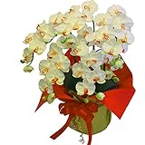 胡蝶蘭 5本立 大輪 （高級造花） 光触媒で空気清浄効果 全8色 お祝い花の王様 (スタンダードホワイト)