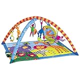 ジミニーアクティビティジム スーパーデラックスジム