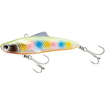 シーバス引退 2025年最新】シーバスルアー引退の人気アイテム - メルカリ